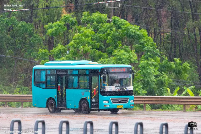 800BUS