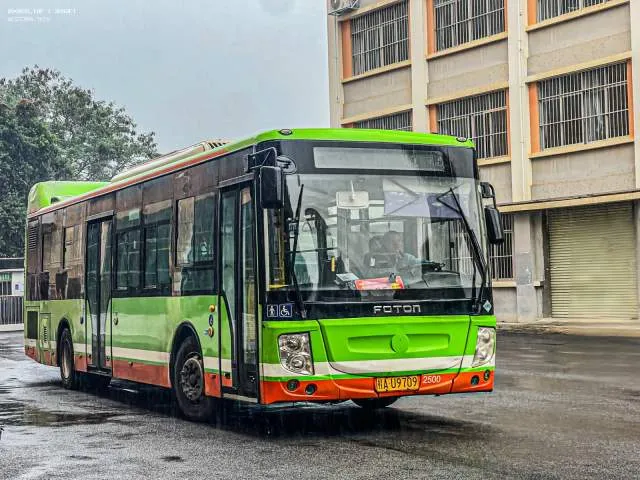800BUS