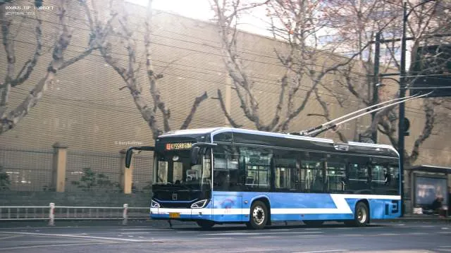 浙A87L31