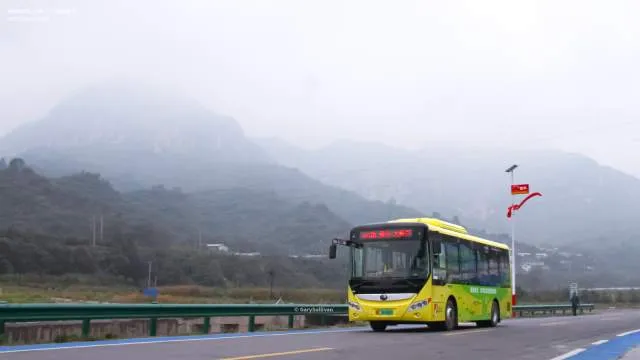 冀E06088D