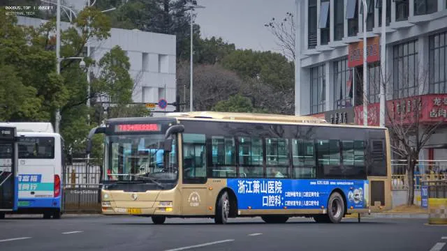 浙A 5L310