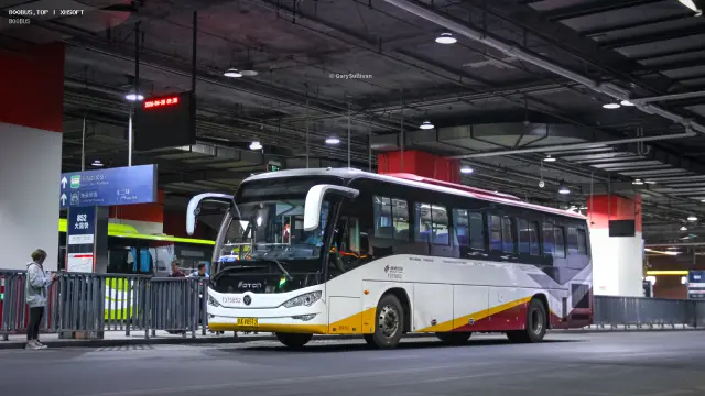 800BUS