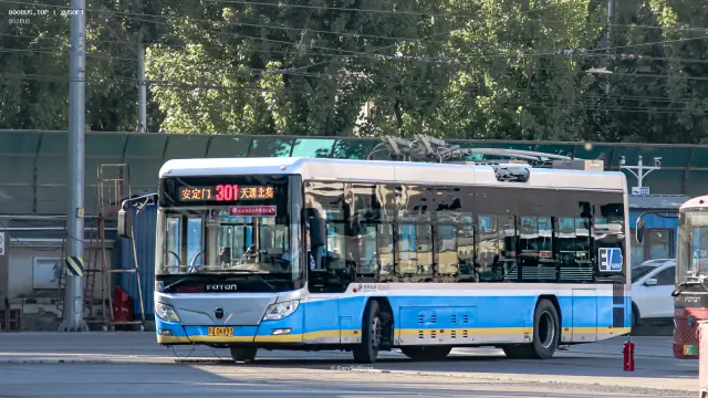 800BUS