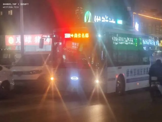 800BUS