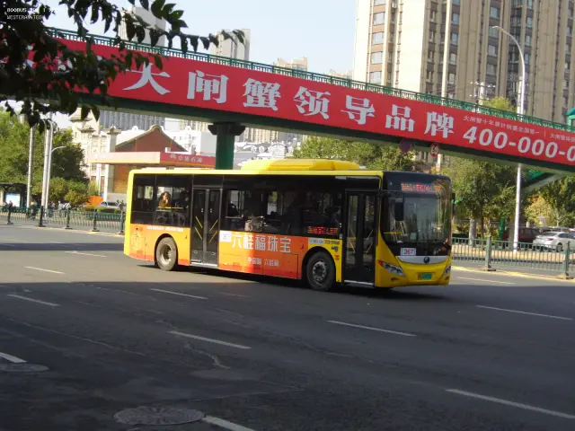 800BUS