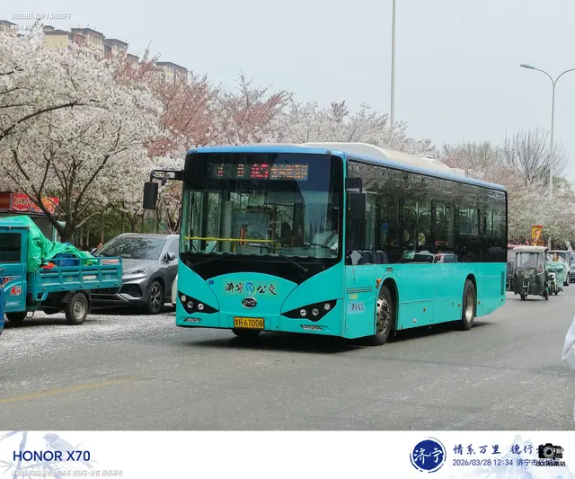 800BUS