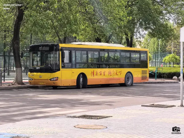 800BUS