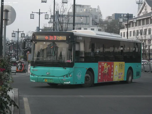 800BUS