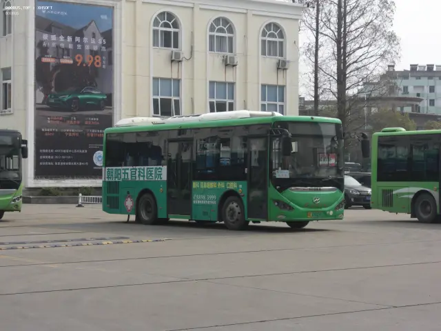 800BUS