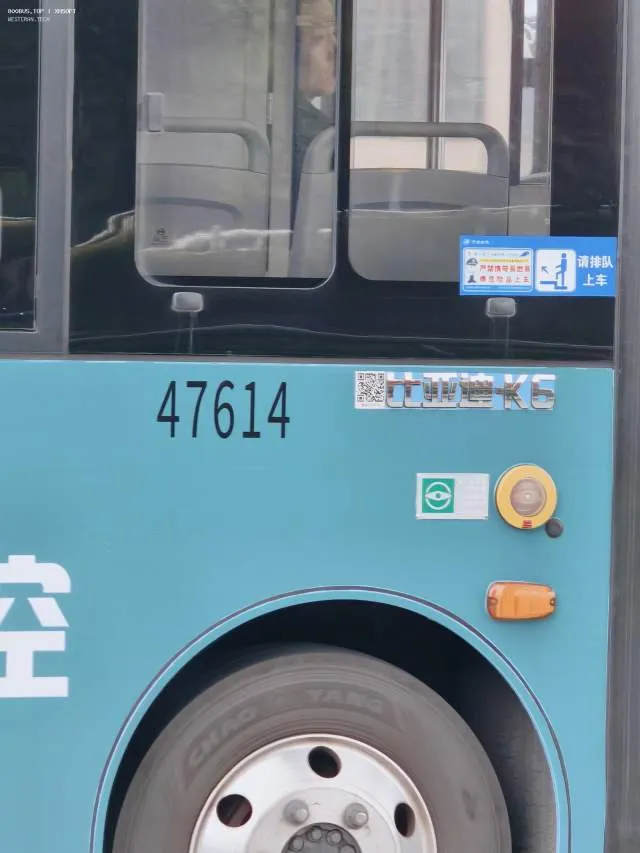 800BUS