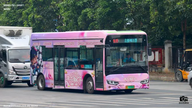 800BUS
