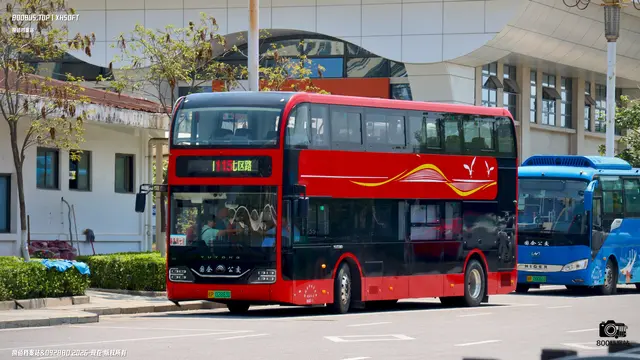 800BUS