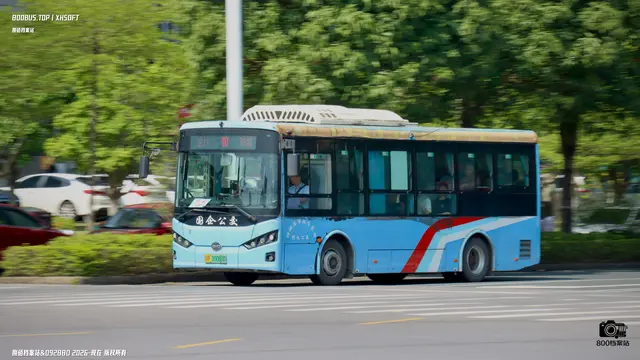 800BUS