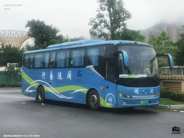 800BUS