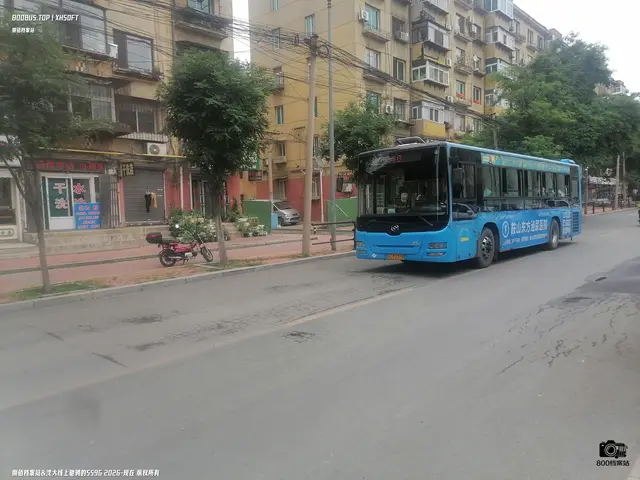 800BUS