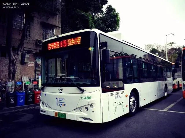 800BUS