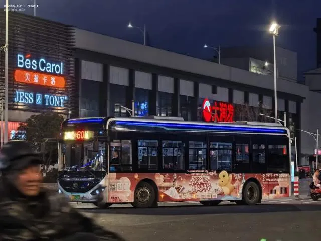 800BUS