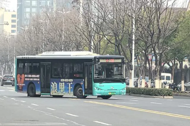 800BUS