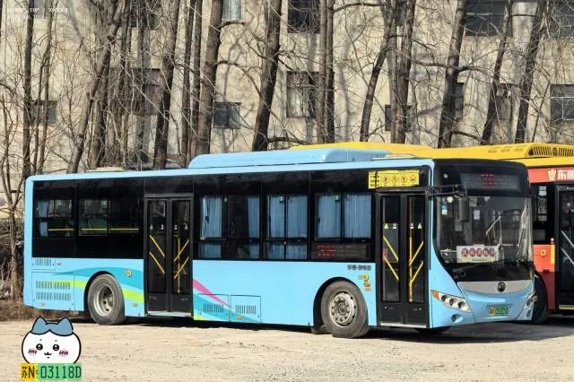 800BUS
