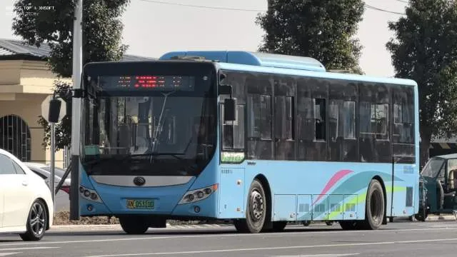 800BUS