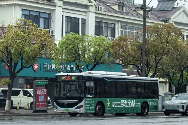 800BUS