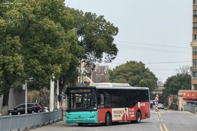 800BUS