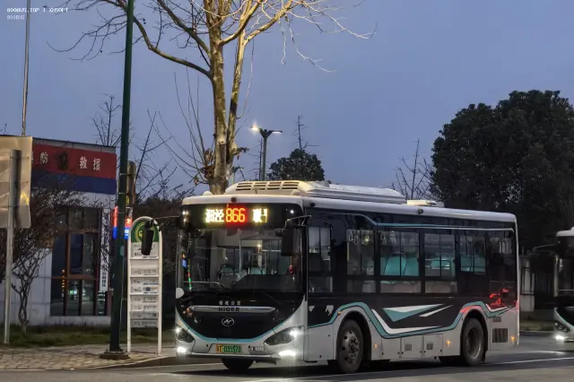 800BUS