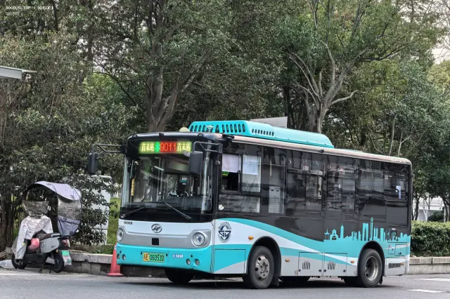 800BUS