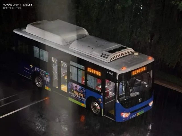 浙A 01255D（6-6728）