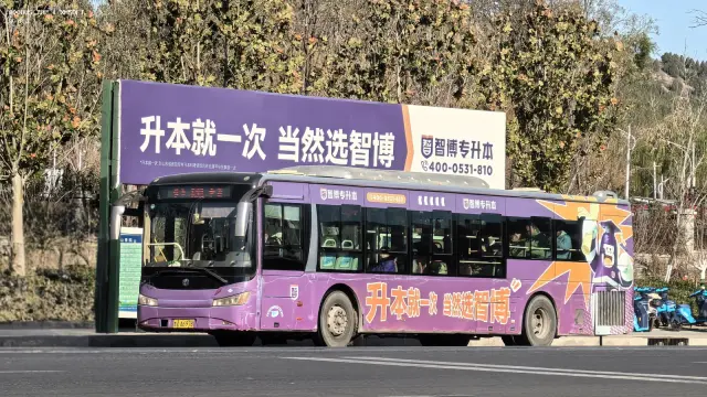 800BUS