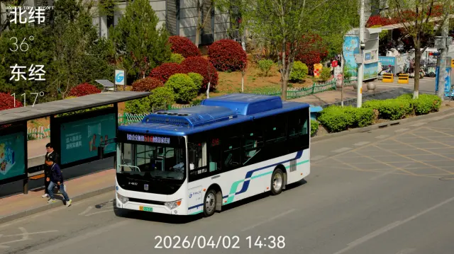 800BUS