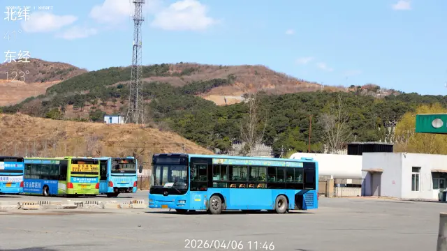 辽C B2475（6011246）