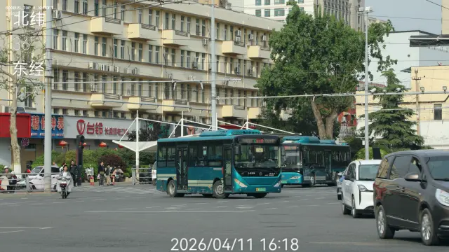 鲁A 00300D（8334）
