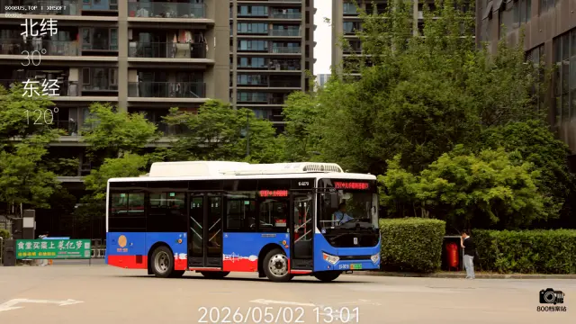 800BUS