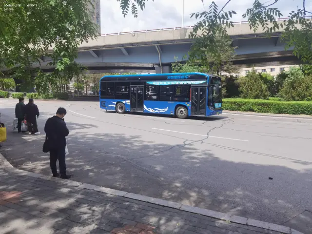 800BUS