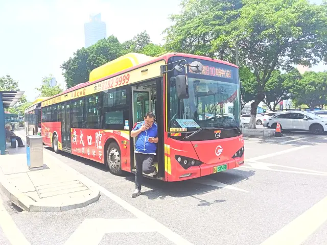 800BUS