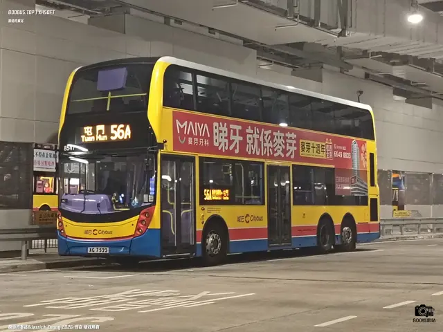 800BUS