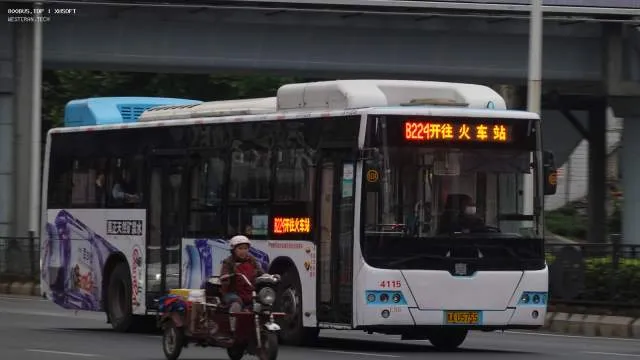 800BUS