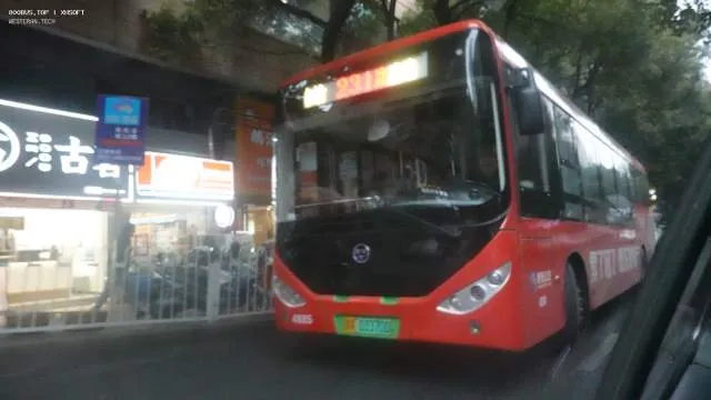 800BUS