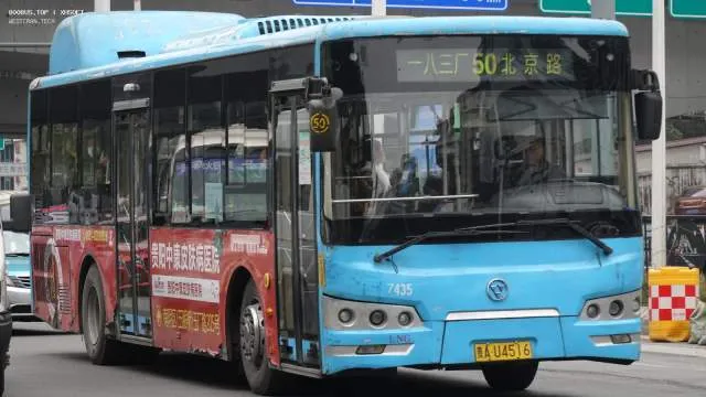 800BUS