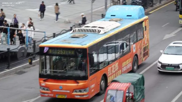 800BUS
