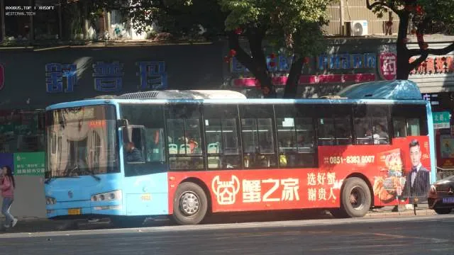 800BUS