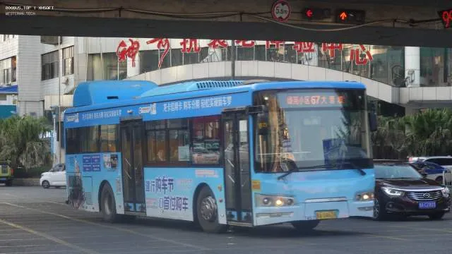 800BUS
