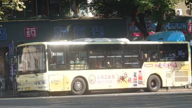 800BUS
