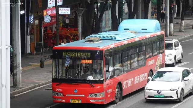 800BUS