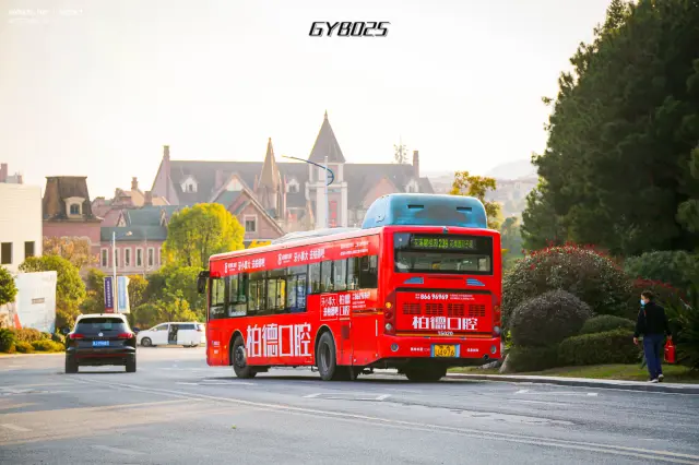 800BUS