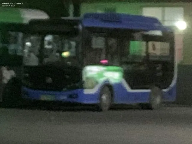 800BUS