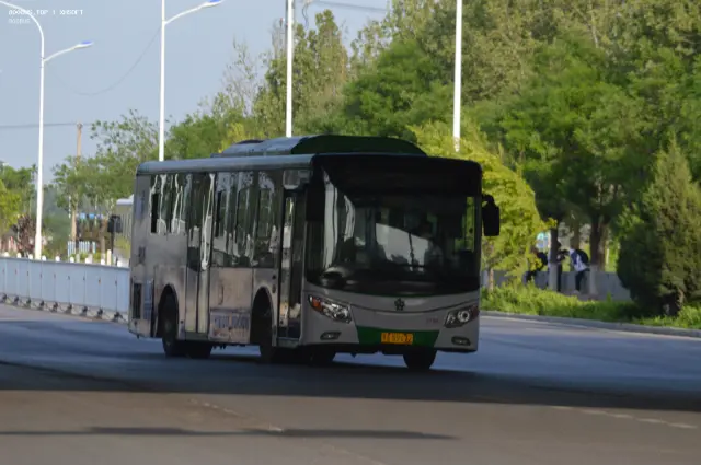 800BUS