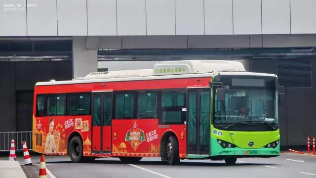 粤D_06991D