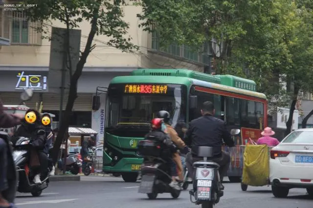 800BUS